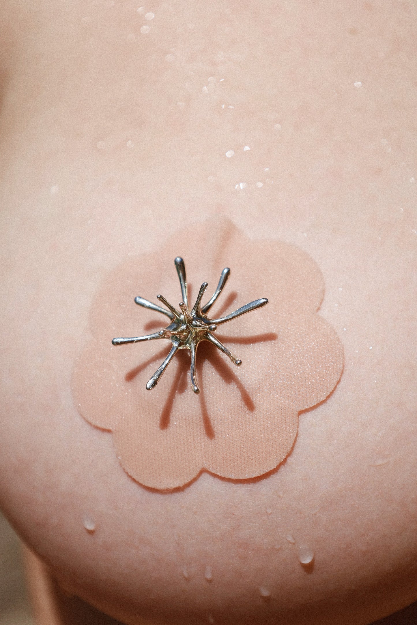 SEA URCHIN-BROCHES
