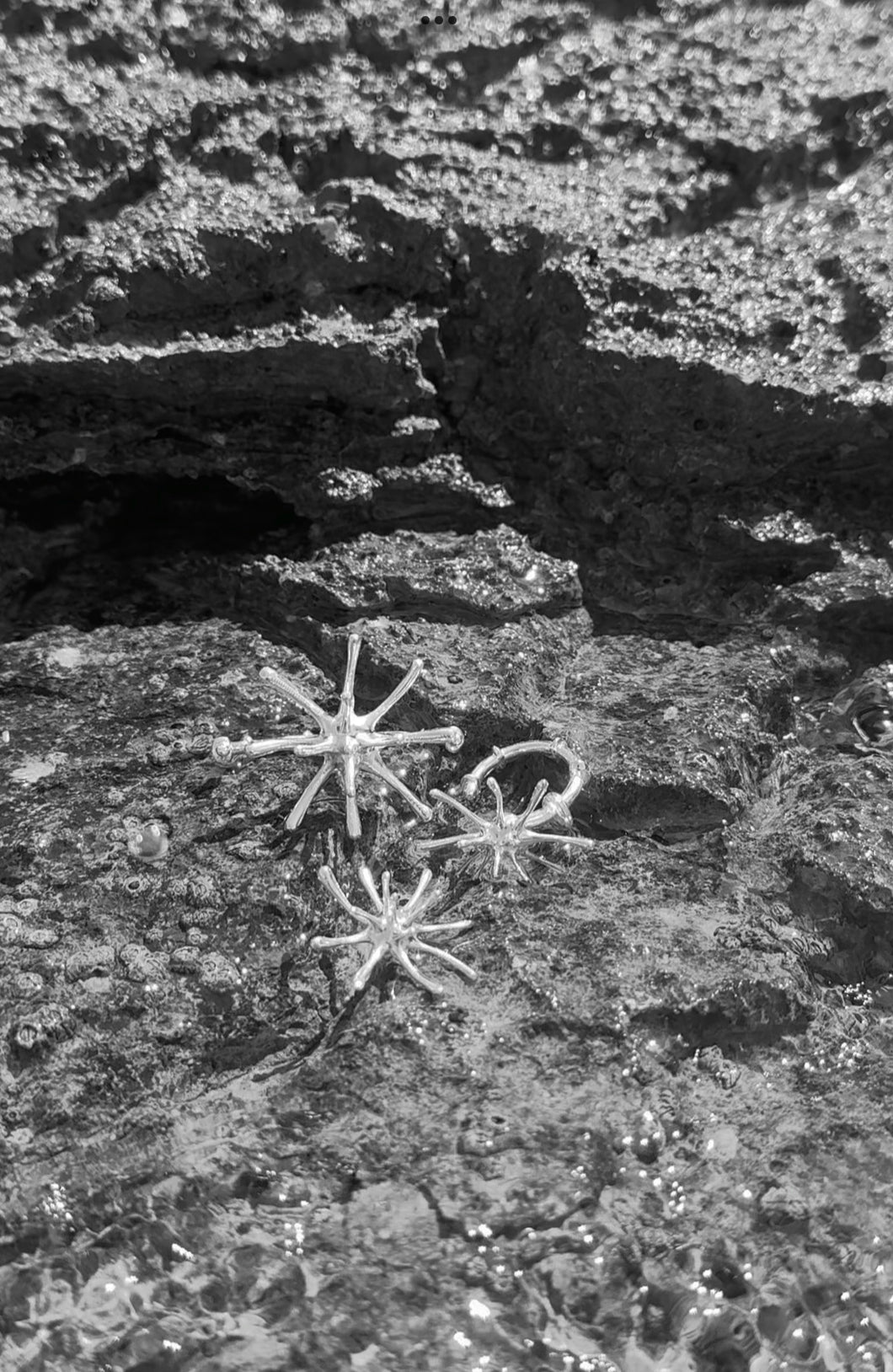 SEA URCHIN RINGS SET