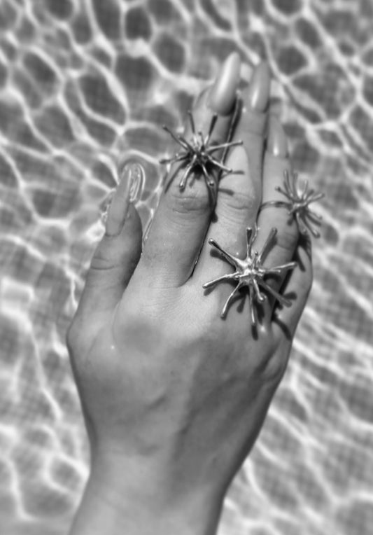 SEA URCHIN RINGS SET